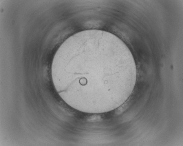 X0000072550162200608041657