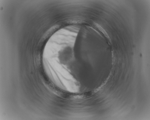 X0000072550163200608041657