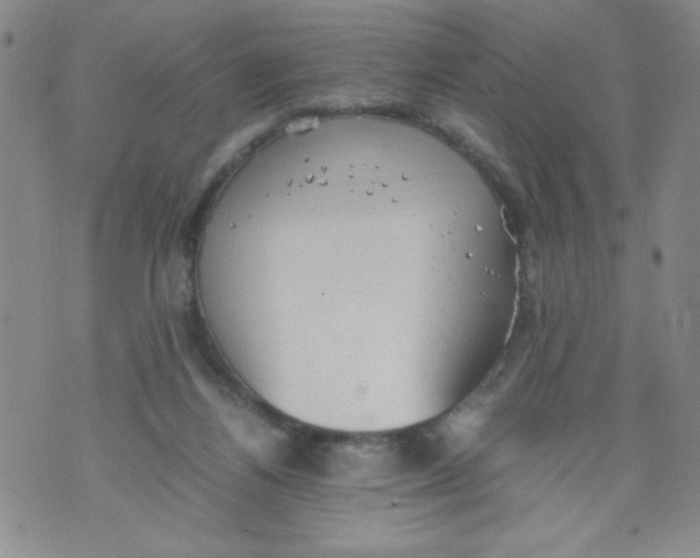 X0000072550164200608041657