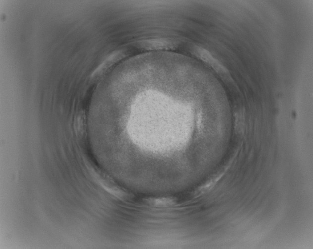 X0000072550165200608041657