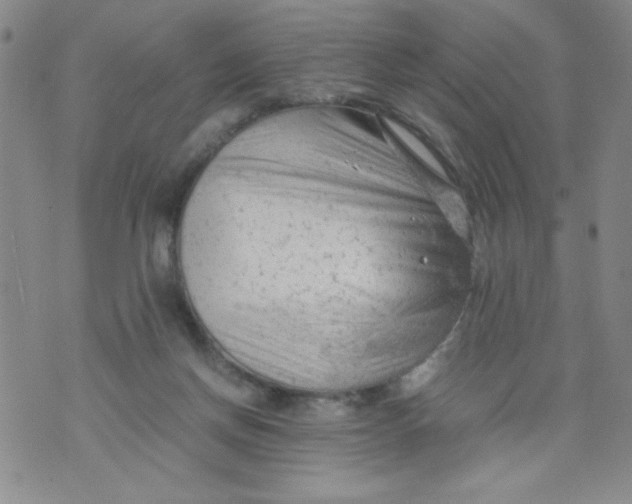 X0000072550166200608041657