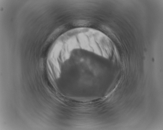 X0000072550167200608041657