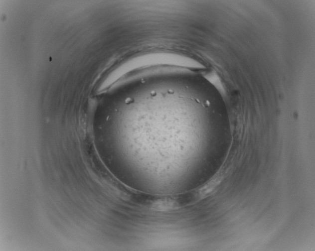 X0000072550168200608041657