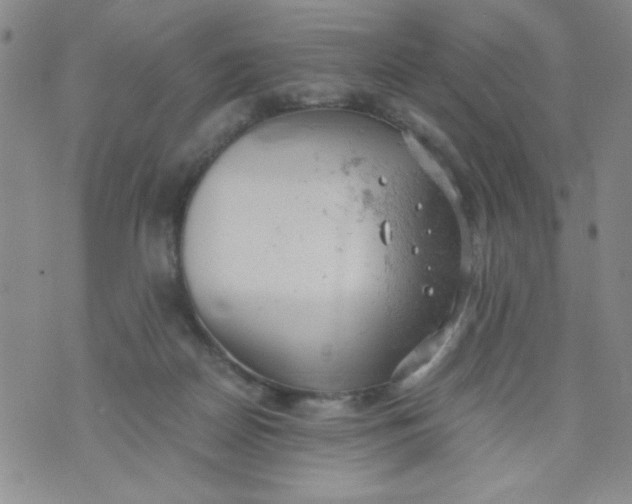 X0000072550170200608041657