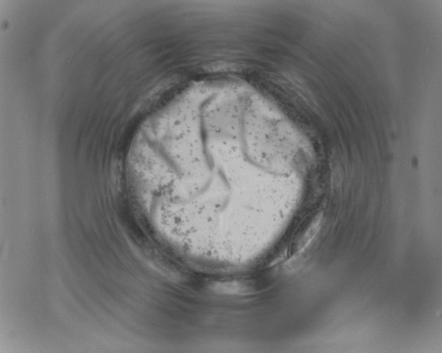 X0000072550171200608041657