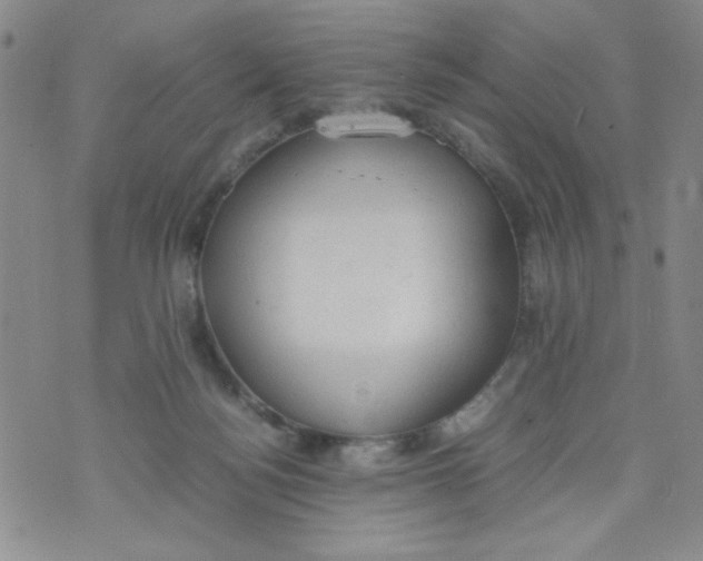 X0000072550172200608041657