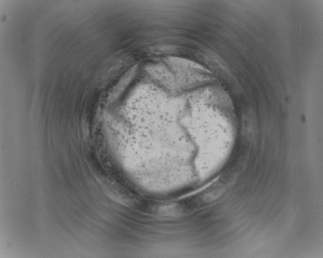 X0000072550173200608041657