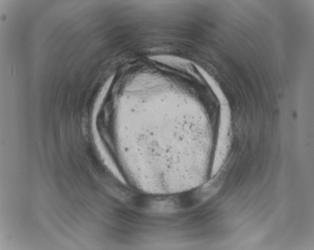 X0000072550175200608041657