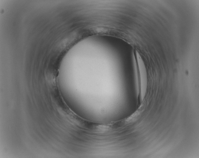 X0000072550176200608041657