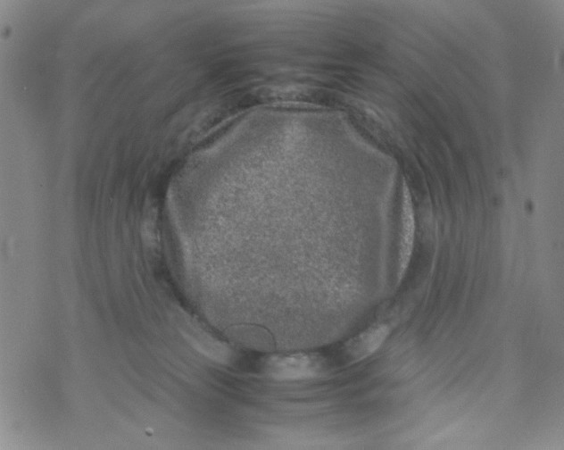 X0000072550181200608041657