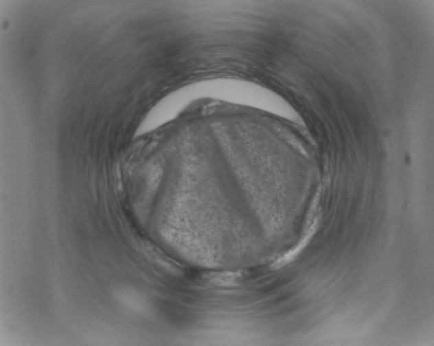 X0000072550182200608041657