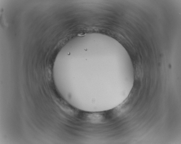 X0000072550183200608041657