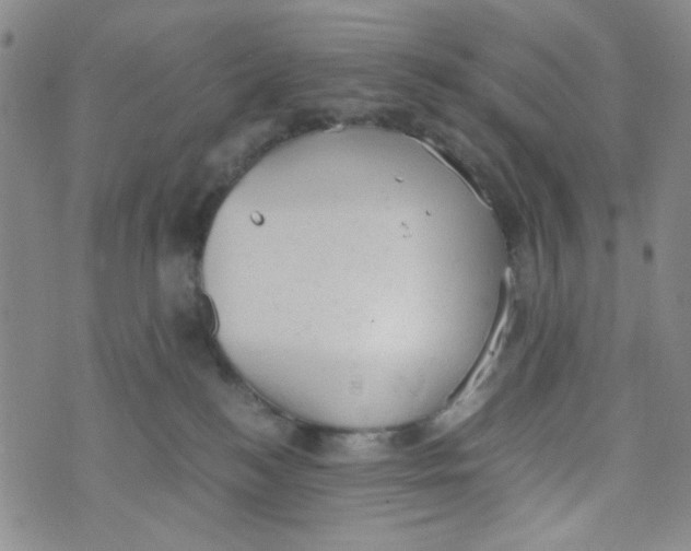 X0000072550184200608041657