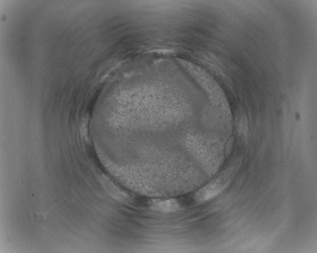 X0000072550185200608041657