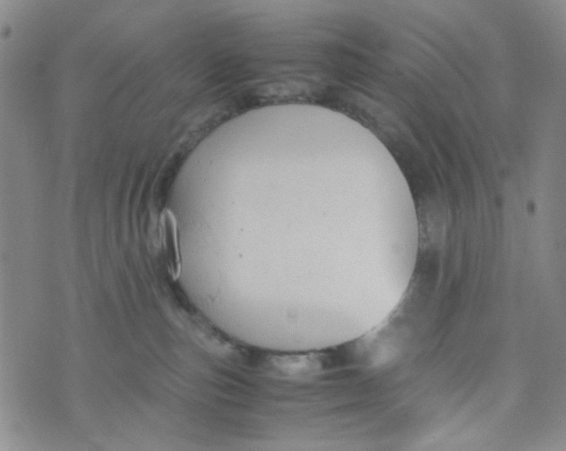 X0000072550187200608041657