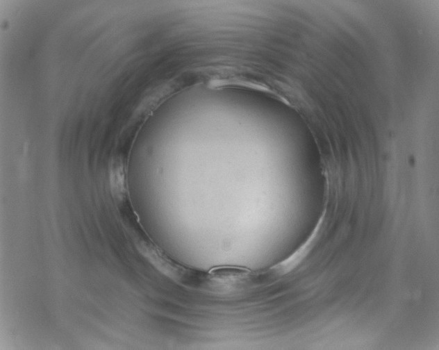 X0000072550190200608041657