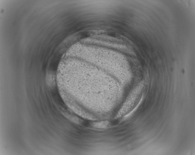 X0000072550191200608041657