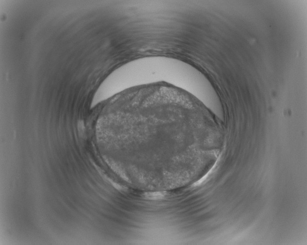 X0000072550192200608041657