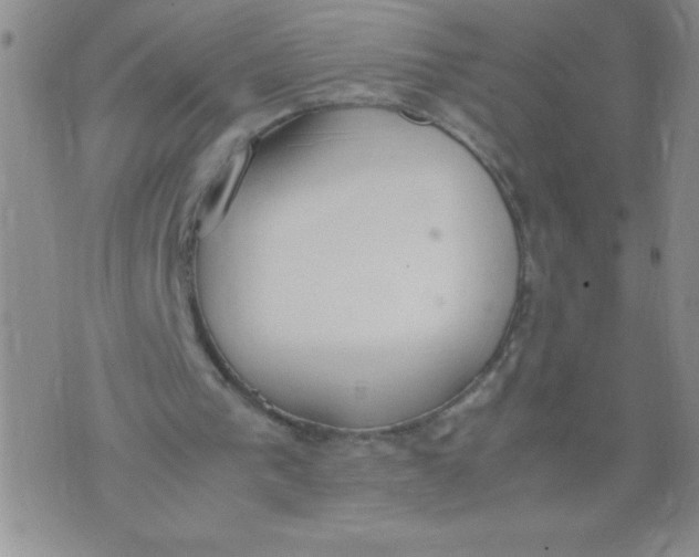 X0000072550193200608041656