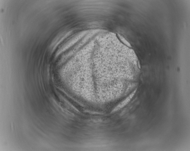 X0000072550194200608041656