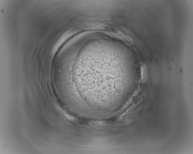 X0000072550195200608041656