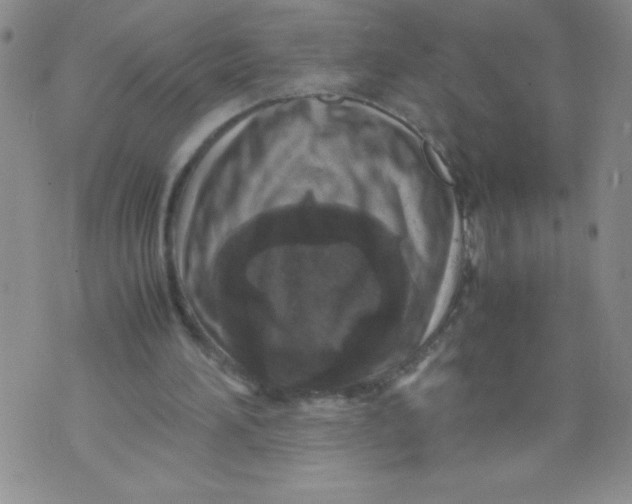 X0000072550196200608041656