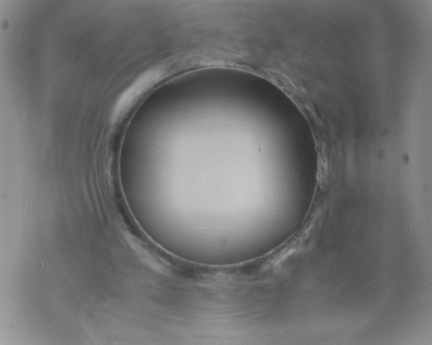 X0000072550197200608041656