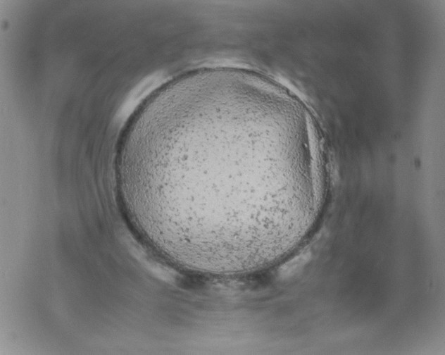 X0000072550199200608041656