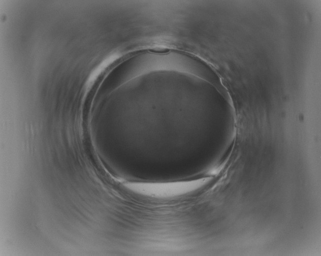 X0000072550200200608041656