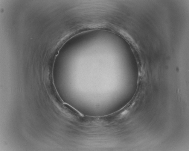 X0000072550201200608041656