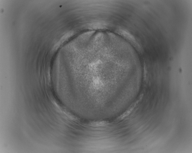 X0000072550202200608041656