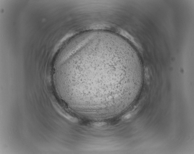 X0000072550203200608041656