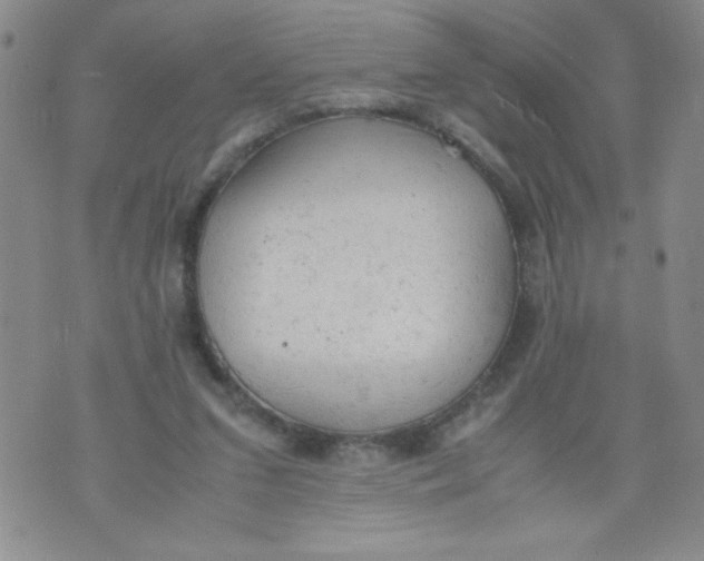 X0000072550207200608041656