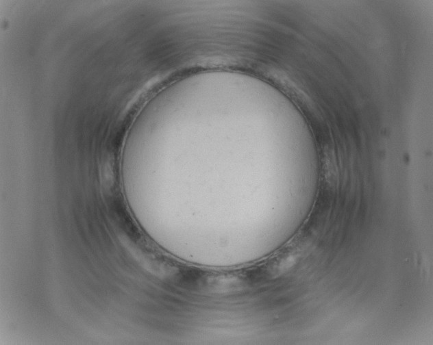 X0000072550208200608041656