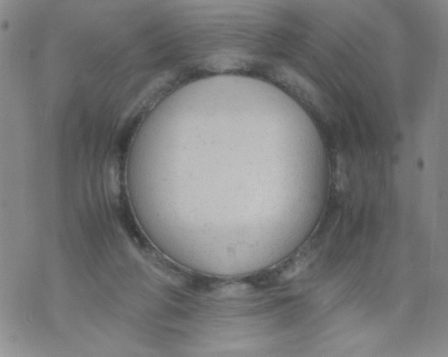 X0000072550210200608041656