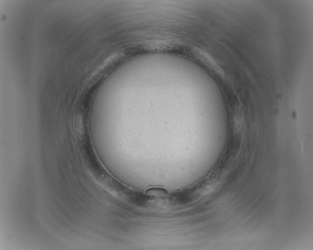 X0000072550211200608041656