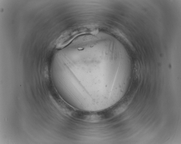 X0000072550212200608041656