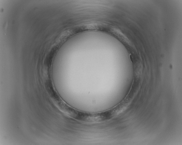 X0000072550213200608041656