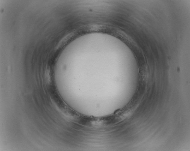 X0000072550216200608041656