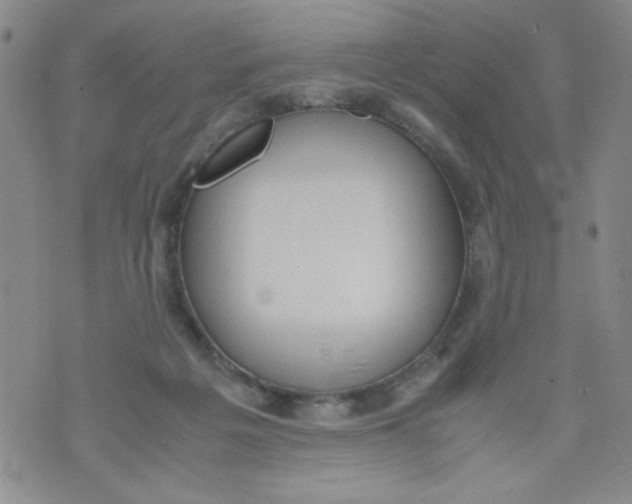 X0000072550217200608041656