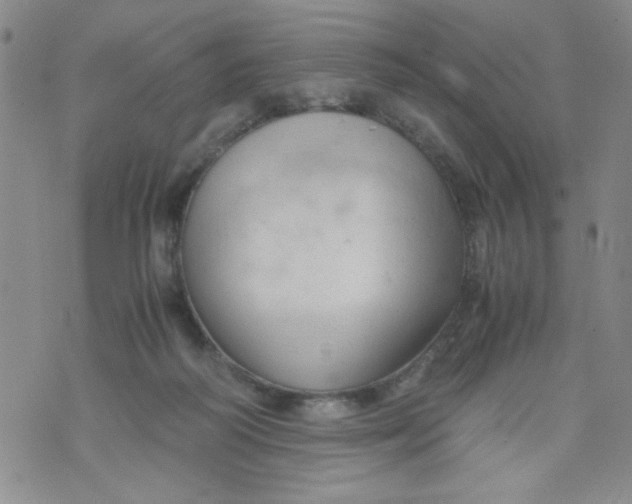 X0000072550218200608041656