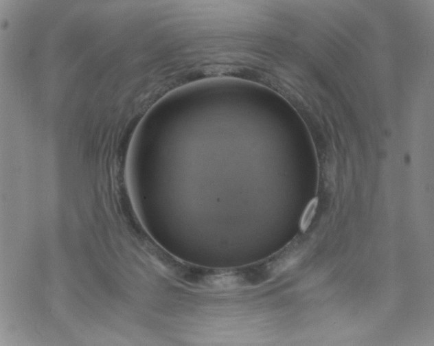 X0000072550219200608041656