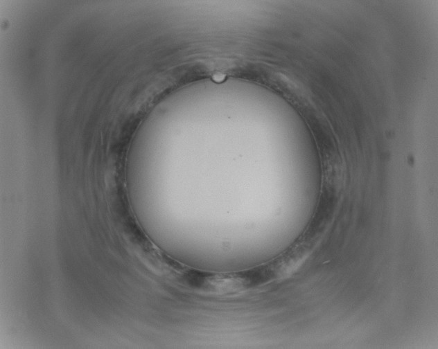 X0000072550221200608041656