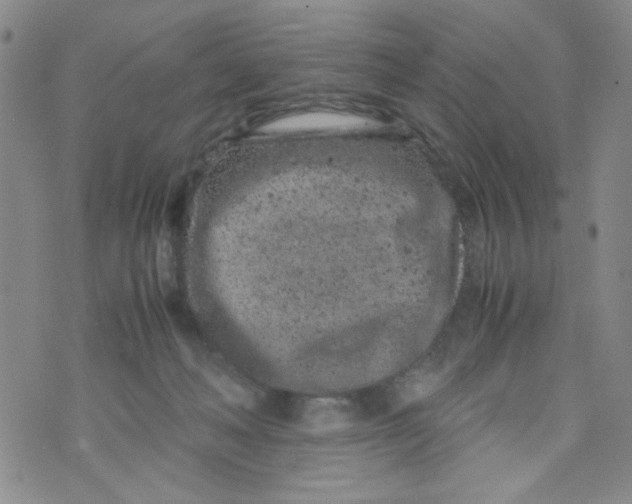 X0000072550222200608041656