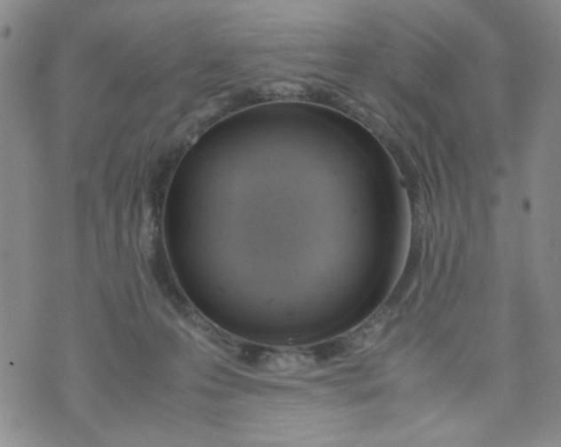 X0000072550223200608041656