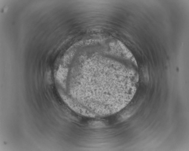 X0000072550224200608041656