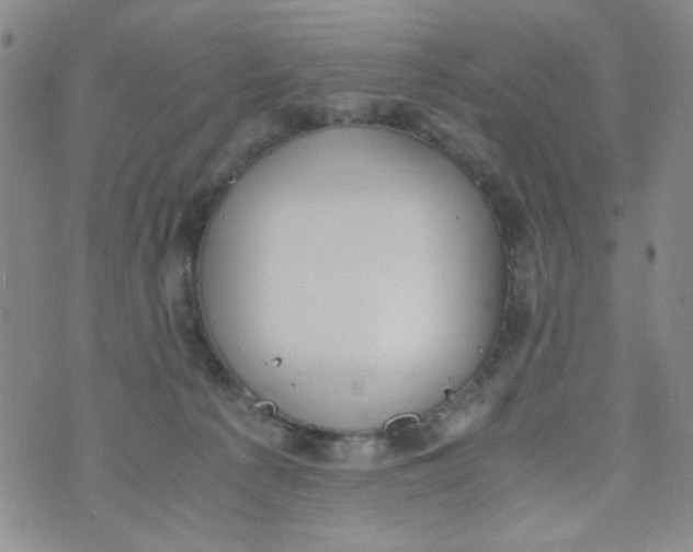 X0000072550225200608041656