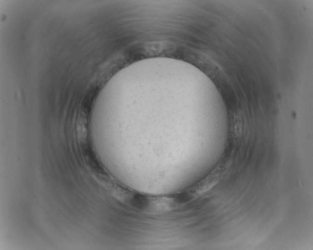 X0000072550226200608041656