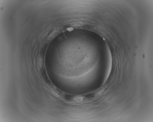 X0000072550227200608041656