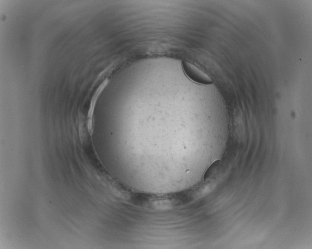 X0000072550228200608041656